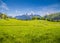 Idyllic landscape in the Alps with green meadows and farmhouse