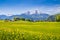 Idyllic landscape in the Alps with green meadows and flowers