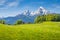 Idyllic landscape in the Alps with green meadows and flowers