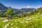 Idyllic landscape in the Alps in spring with traditional mountain lodge