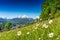 Idyllic landscape in the Alps in springtime