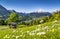 Idyllic landscape in the Bavarian Alps, Berchtesgaden, Germany