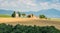 Idyllic landscape with the famous Vitaleta Chapel, in Val d`Orcia, In the italian region of Tuscany.