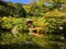 Idyllic landscape of Japanese garden