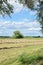 Idyllic landscape of meadow path and bushes around