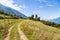 Idyllic landscape in the mountains: Trekking path, meadow, forest and a beautiful view