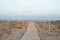 An idyllic landscape with a path with wooden tiles leading to the sea.