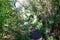 Idyllic Levada walk in ancient subtropical Laurissilva forest of Fanal, Madeira island, Portugal, Europe. Water irrigation channel