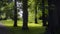 Idyllic little green park at Suomenlinna in Finland