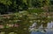 Idyllic little lake with lotus flowers and bench