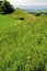 Idyllic Meadow in the Alpine Upland