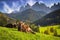 Idyllic meadow with cows and Dolomites mountains in background, Santa Maddalena. Italy