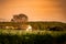 Idyllic meadows of catalan countryside in spain with house trees and hills at sunset with flowers in springtime