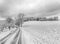 Idyllic monochrome winter countryside scene over a snow field along a road