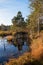 Idyllic moor lake in bright autumnal colors