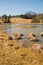 Idyllic moor lake Schmalensee, alpine spring landscape upper bavaria, vertical