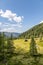 Idyllic mountain landscape in the alps: Beautiful scenery of meadow, trees, mountains and blue sky