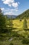 Idyllic mountain landscape in the alps: Beautiful scenery of meadow, trees, mountains and blue sky