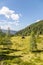 Idyllic mountain landscape in the alps: Beautiful scenery of meadow, trees, mountains and blue sky