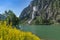 Idyllic mountain landscape in the Alps with blooming flowers, mountain lake and waterfall