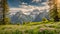 Idyllic mountain landscape in the Alps with blooming meadows in