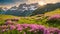 Idyllic mountain landscape in the Alps with blooming meadows springtime