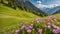 Idyllic mountain landscape in the Alps blooming meadows in springtime