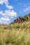 Idyllic mountain landscape in the alps: Mountain chalet, meadows and blue sky