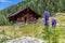 Idyllic mountain landscape in the alps: Mountain chalet, meadows and blue sky