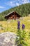 Idyllic mountain landscape in the alps: Mountain chalet, meadows and blue sky