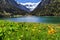 Idyllic mountain landscape in the Alps in springtime with blooming flowers and mountain lake. Stilluptal, Austria, Tyrol.