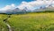 Idyllic mountain landscape in the summertime with a small mountain stream