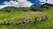 Idyllic mountain landscape in the summertime with a traditional wooden fence in the foreground