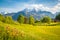 Idyllic mountain scenery in the Alps with blooming meadows in springtime