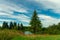 Idyllic nature landscape scenic view pine trees and pond reservoir in August summer day