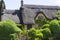 Idyllic old english cottage with green topiary garden