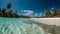 Idyllic palm tree coastline, turquoise water paradise generated by AI