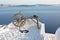 Idyllic panorama on Santorini Island, Greece