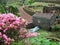 Idyllic park at Sao Miguel Island