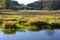 Idyllic peat bog in colorful autumn, wetland lake