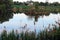 Idyllic picture of a quiet pond with reflection of reeds