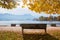 Idyllic place at lakeside Mondsee with bench and view to shipping pier Gmunden, autumn austria