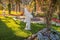 Idyllic public park at springtime with seat bench in Capri island, Italy