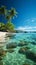 Idyllic retreat Tropical beach, palm tree, crystal sea nature\\\'s paradise on an island