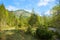 Idyllic riparian zone Weissach river, meadow with spring flowers, upper bavaria