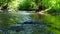 Idyllic river floating through a green forest scenery with little waves and stones in the calm creek shows relaxing hiking tourism