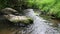 Idyllic river floating through a green forest scenery with little waves and stones in the calm creek shows relaxing hiking tourism