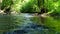 Idyllic river floating through a green forest scenery with little waves and stones in the calm creek shows relaxing hiking tourism