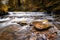 Idyllic river landscape in the forest with a small waterfall in autumn