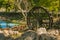 Idyllic river landscape with old wooden wheel of mill